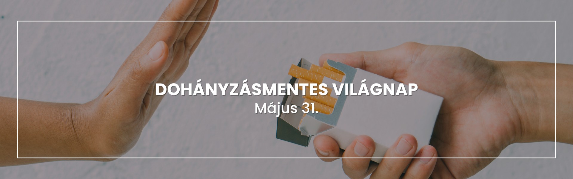 dohanyzasmentes-vilagnap