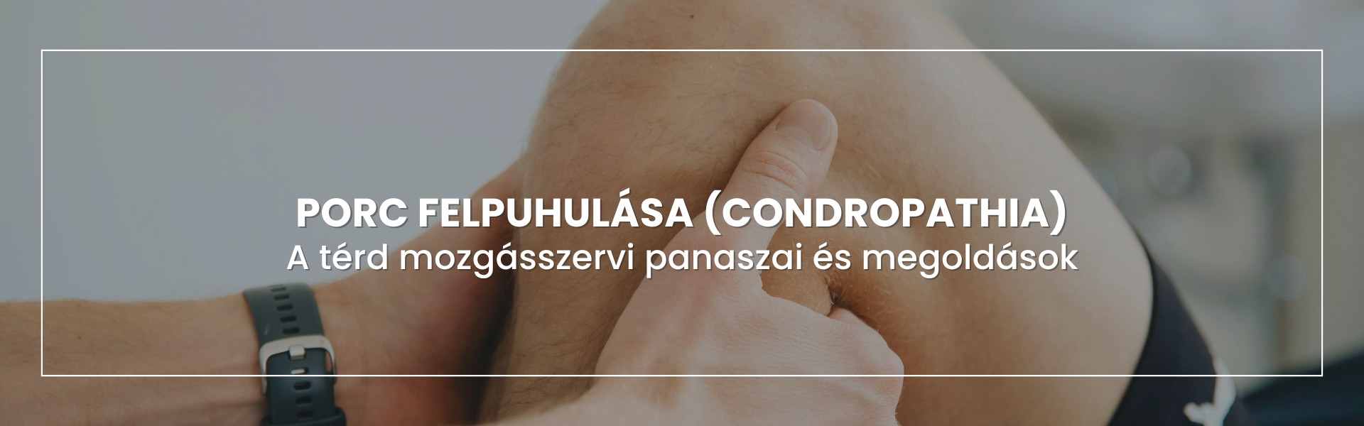condropathia-porc-felpuhulas