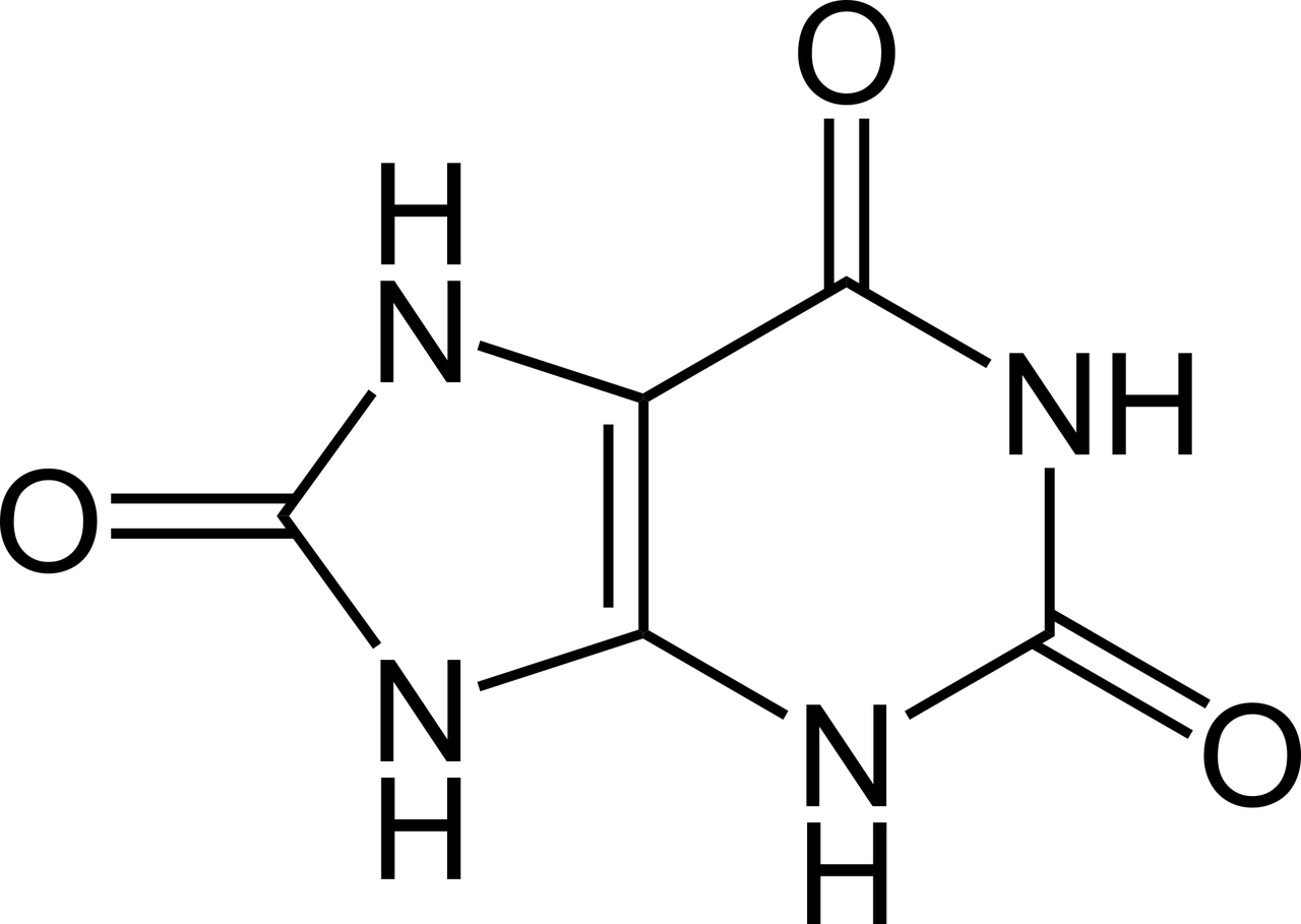 Húgysav Húgysav