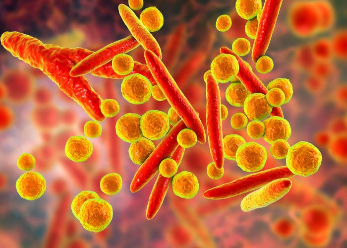 mycoplasma mycoplasma