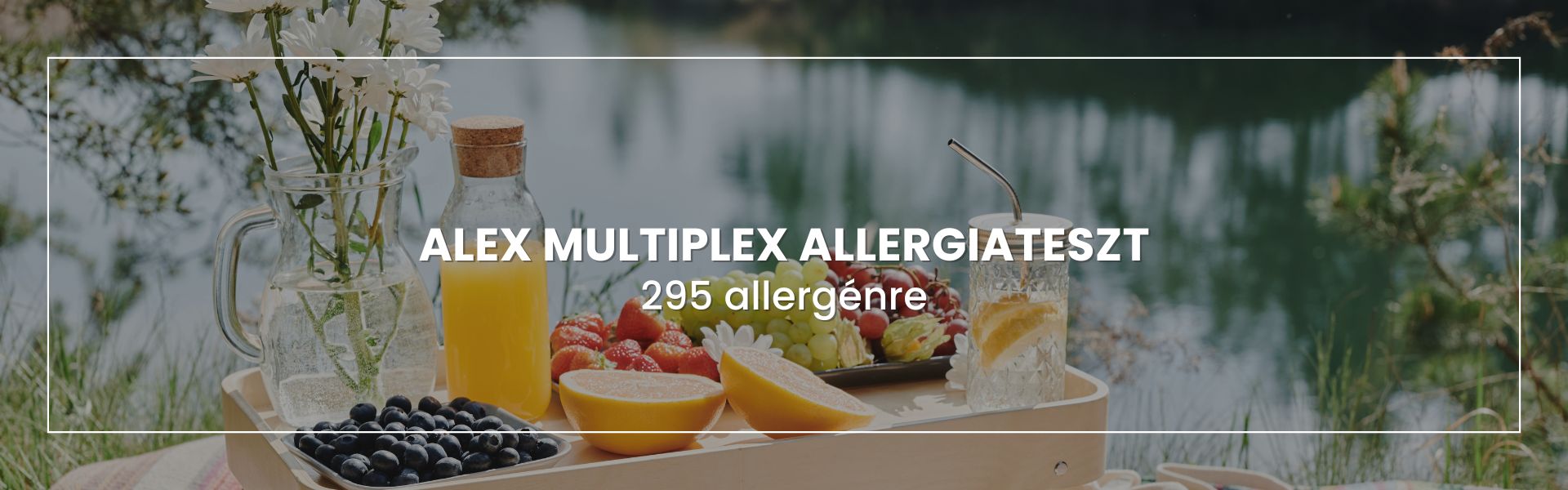 alex-multiplex-allergiateszt-295-allergenre
